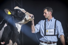 DSC06911-2 DSC06911-2