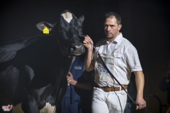 DSC06929-2 DSC06929-2