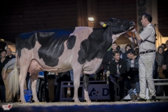 DSC06952-2 DSC06952-2