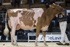 DSC07255-2 DSC07255-2