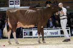 DSC07275-2 DSC07275-2