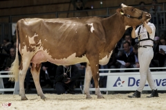 DSC07285-2 DSC07285-2