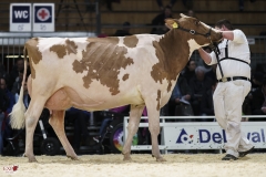 DSC07292-2 DSC07292-2