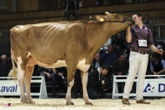 DSC07304-2 DSC07304-2