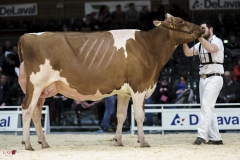 DSC07485-2 DSC07485-2