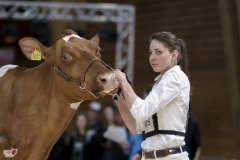 DSC07527-2 DSC07527-2