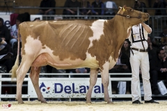 DSC07556-2 DSC07556-2