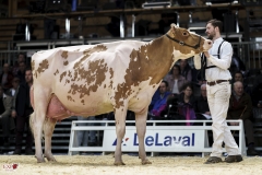 DSC07629-2 DSC07629-2