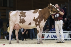 DSC07646-2 DSC07646-2