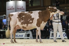 DSC07662-2 DSC07662-2