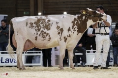 DSC07670-2 DSC07670-2