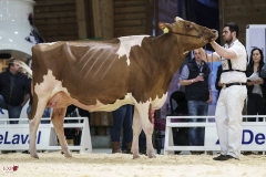 DSC07693-2 DSC07693-2