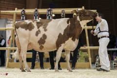 DSC07721-2 DSC07721-2