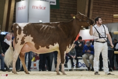 DSC07730-2 DSC07730-2