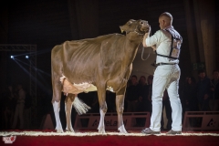 DSC07894-2 DSC07894-2