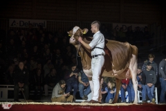 DSC07916-2 DSC07916-2