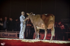 DSC07926-2 DSC07926-2