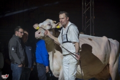 DSC07934-2 DSC07934-2