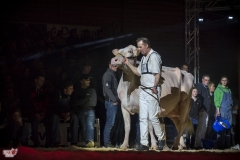 DSC07939-2 DSC07939-2