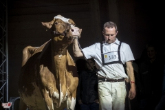 DSC07964-2 DSC07964-2