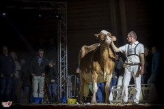 DSC07967-2 DSC07967-2