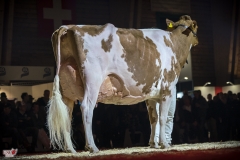 DSC07989-2 DSC07989-2