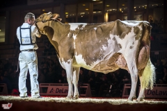 DSC07995-2 DSC07995-2