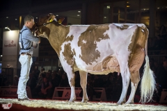 DSC08003-2 DSC08003-2