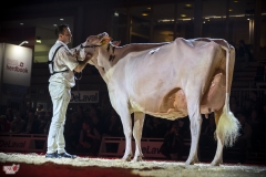 DSC08006-2 DSC08006-2