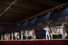 DSC08012-2 DSC08012-2