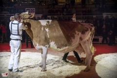 DSC08018-2 DSC08018-2