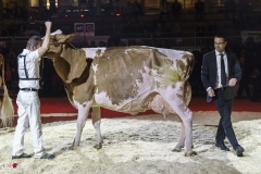 DSC08025-2 DSC08025-2