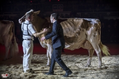 DSC08042-2 DSC08042-2