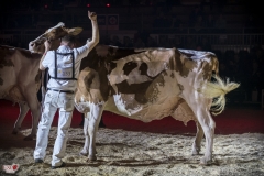 DSC08068-2 DSC08068-2