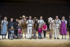 DSC08145-2 DSC08145-2