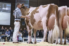 DSC07781-2 DSC07781-2