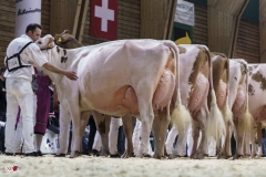 DSC07790-2 DSC07790-2