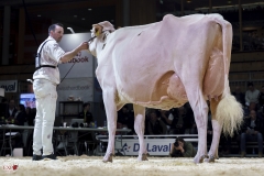 DSC07808-2 DSC07808-2