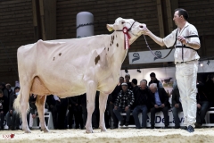 DSC07822-2 DSC07822-2