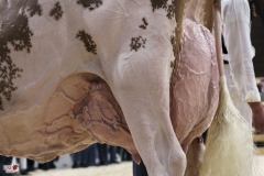 DSC07842-2 DSC07842-2