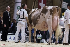 DSC07845-2 DSC07845-2