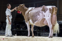 DSC07857-2 DSC07857-2