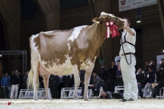 DSC07865-2 DSC07865-2