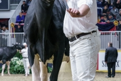 DSC05693-2 DSC05693-2