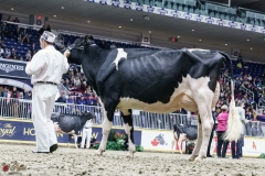 DSC05718-2 DSC05718-2