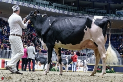 DSC05721-2 DSC05721-2