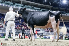 DSC05729-2 DSC05729-2