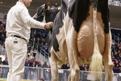 DSC05730-2 DSC05730-2