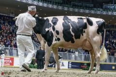 DSC05750-2 DSC05750-2