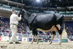 DSC05759-2 DSC05759-2